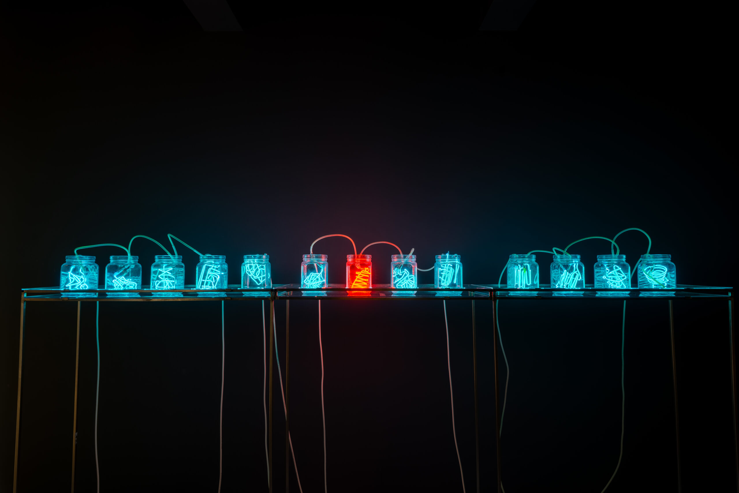 2. cosmin haias 13 jars 2012 waterjet cut polycarbonate sheets glass jars customized neon lights stainless steel support 252x100x30 cm 2